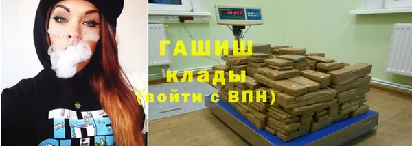 стаф Алзамай