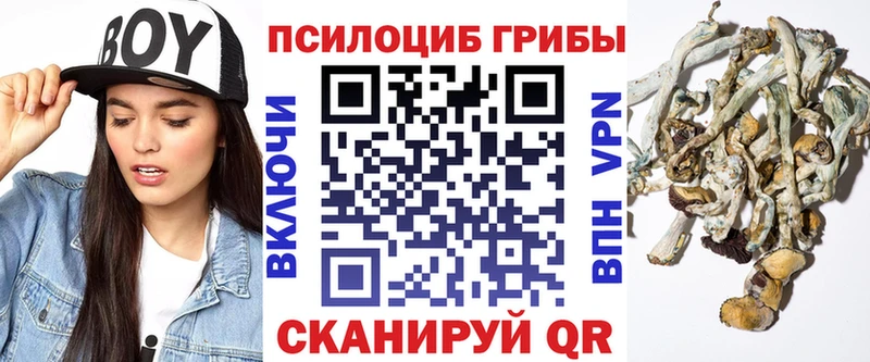 Галлюциногенные грибы мухоморы  Пудож 
